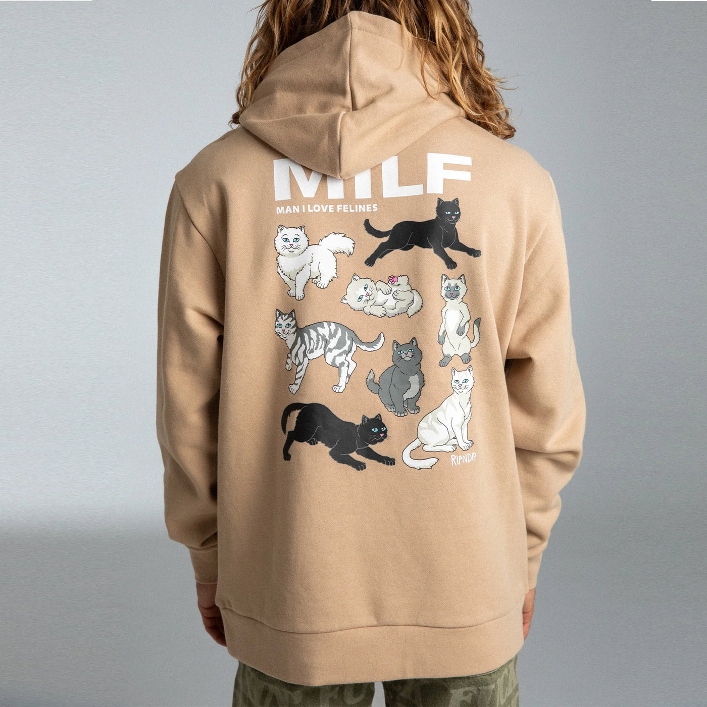 RipNDip Man I Love Felines HOODIE - Almond Sandstone