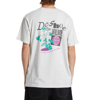 DC Transfer T-Shirt - snow heather (scvw)