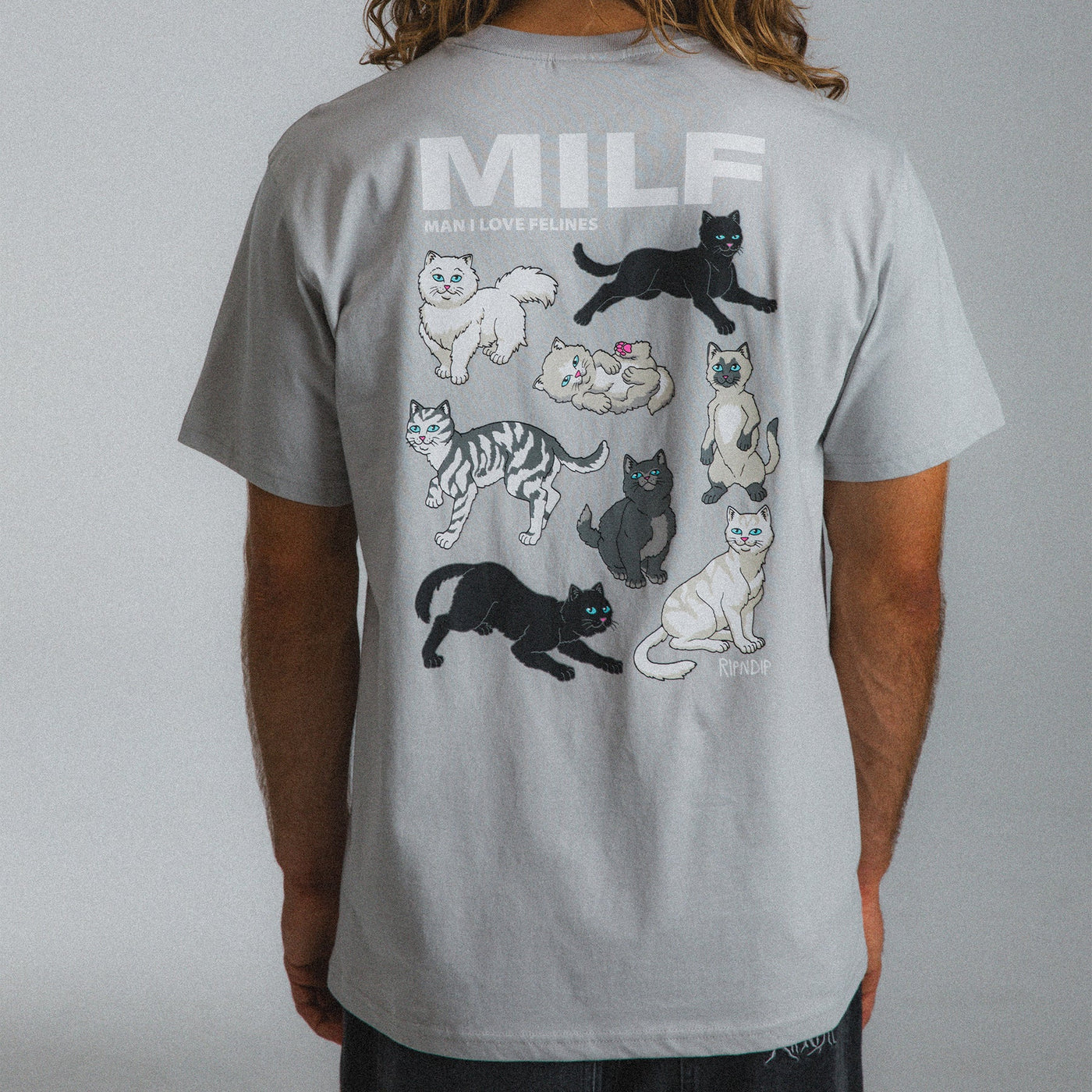 RipNDip Man I Love Felines T-Shirt - Grey