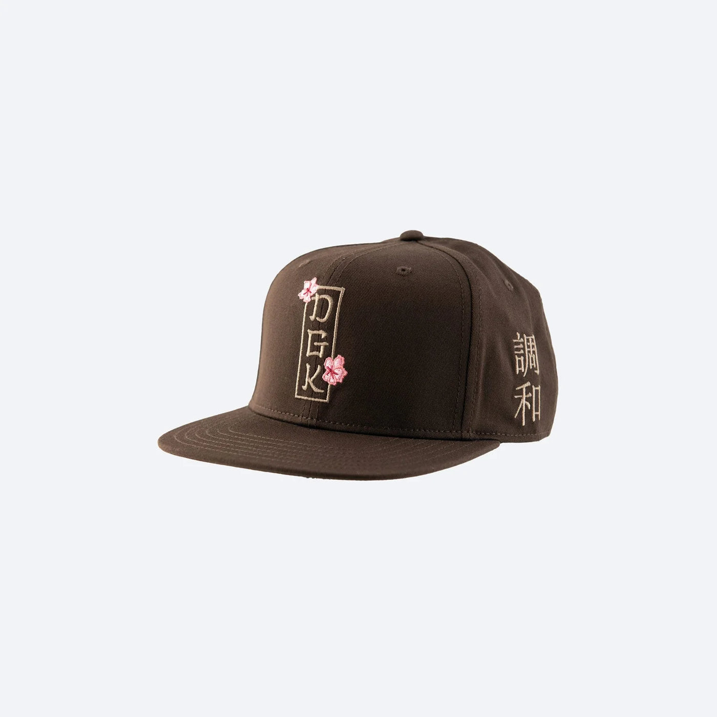 DGK Eternity Snapback Cap - Brown