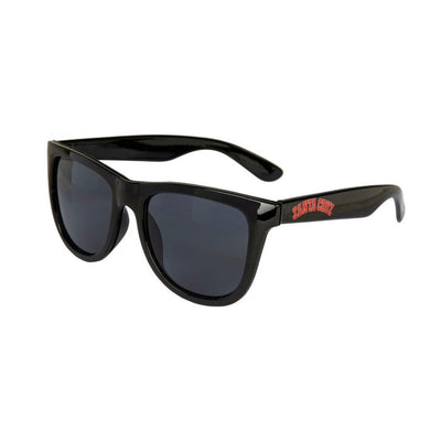 Santa Cruz Collegiate Strip Sunglasses - black